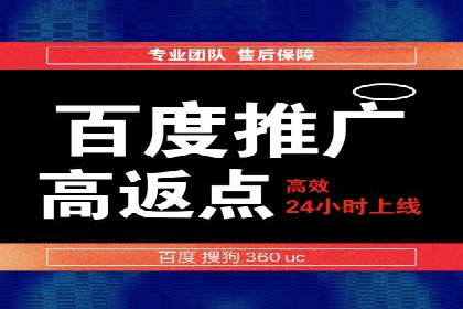 实战解析：SEM网络推广成功案例分享
